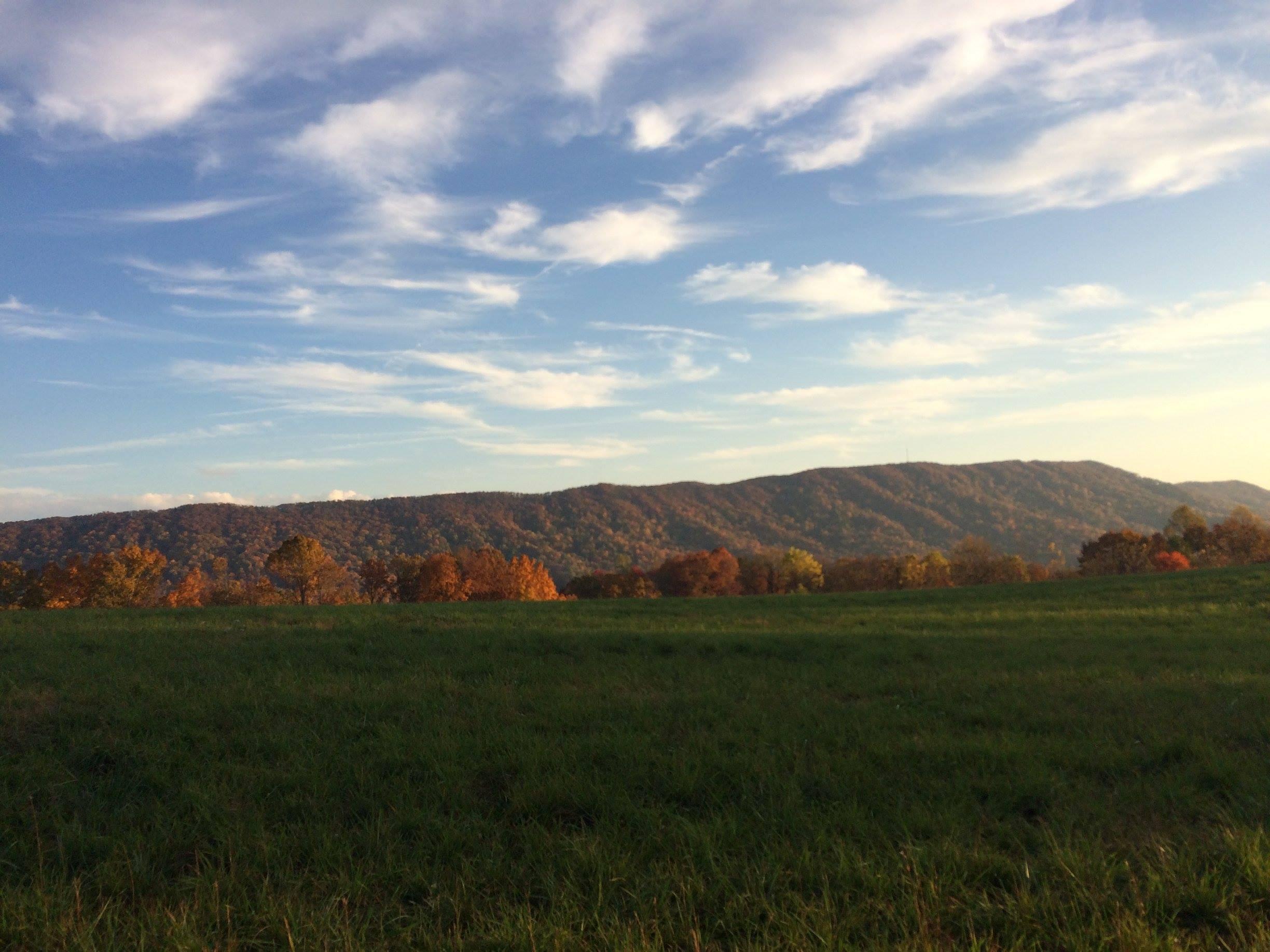 collinsridgefallpic2