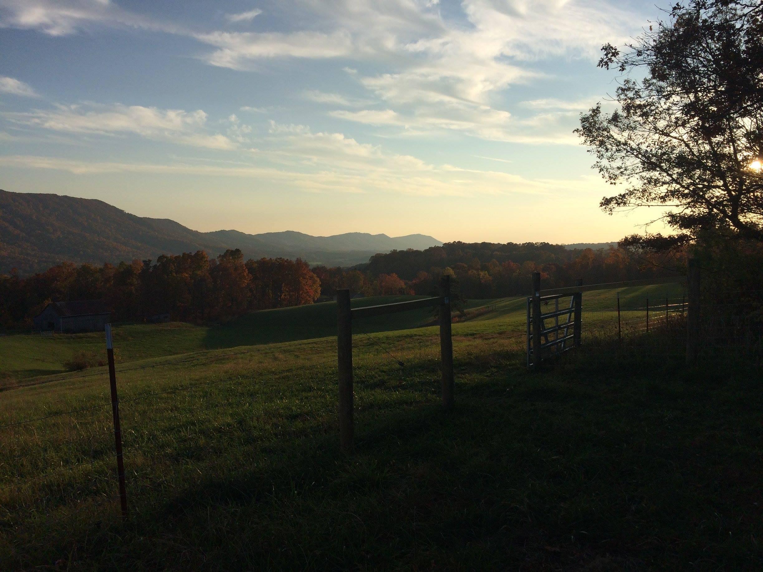 collinsridgefallpic3