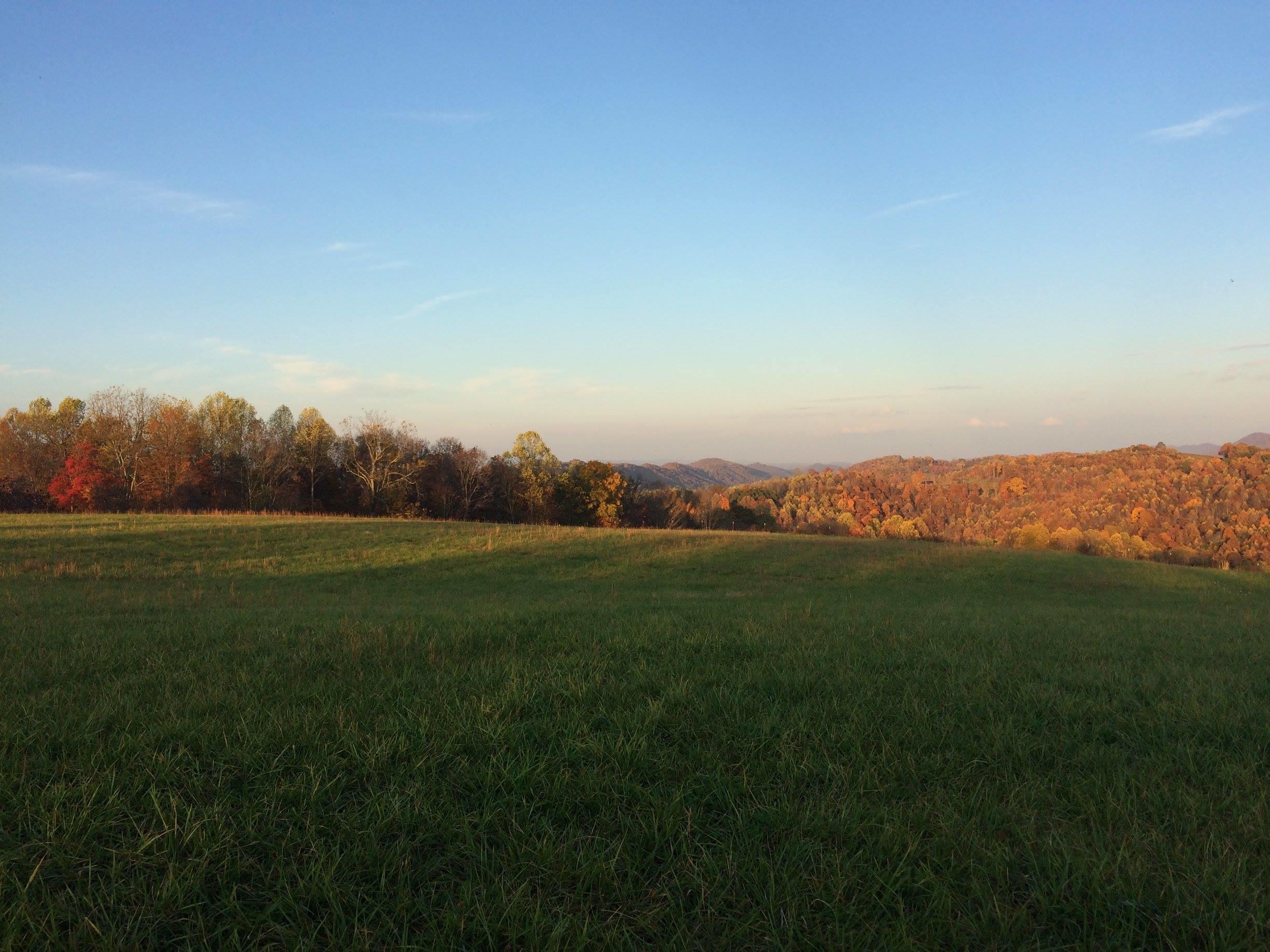 502 Collins Ridge Road Washburn, TN 37888 - Photo 22 of 24 collinsridgefallpic8