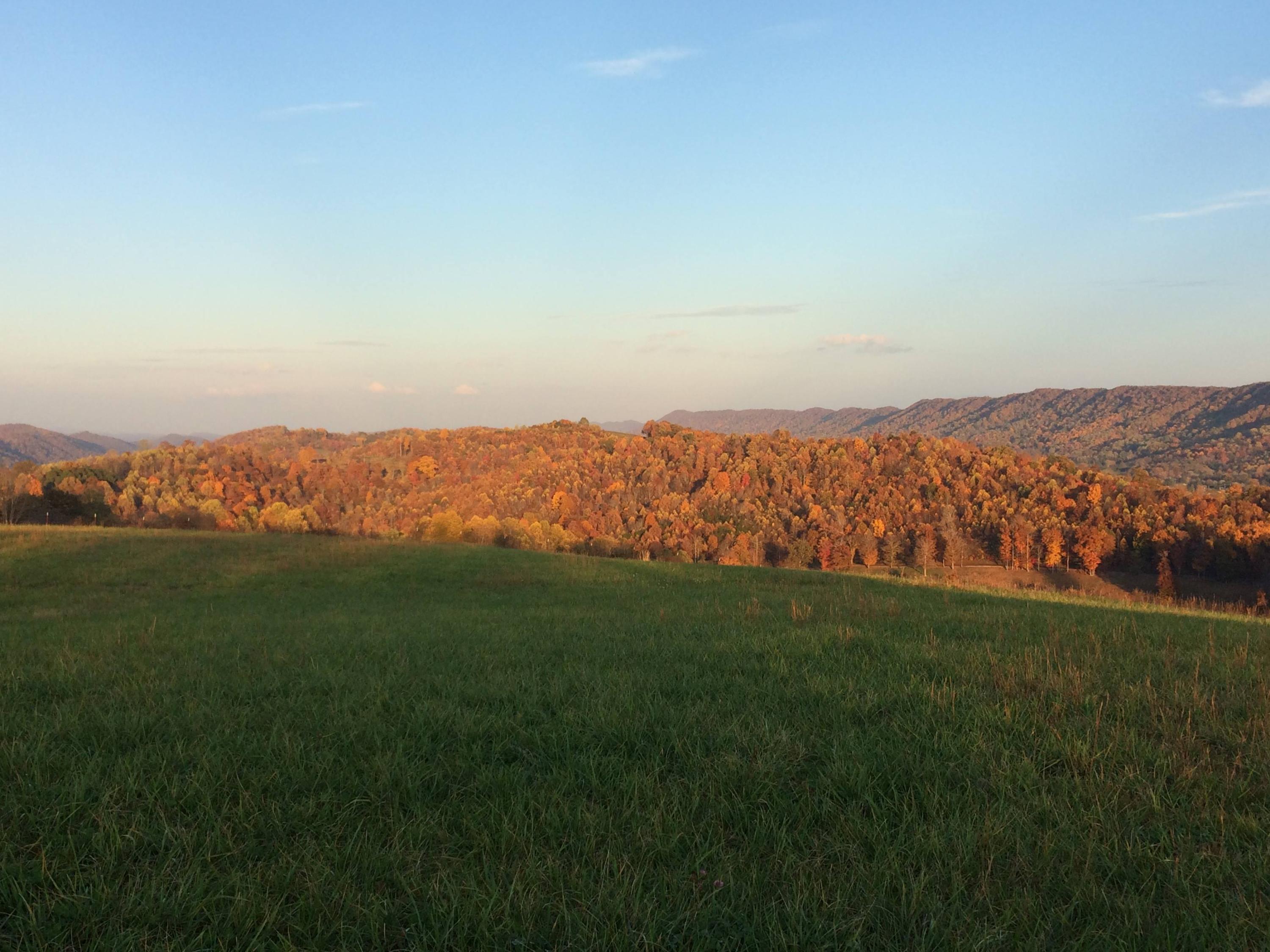 collinsridgefallpic6