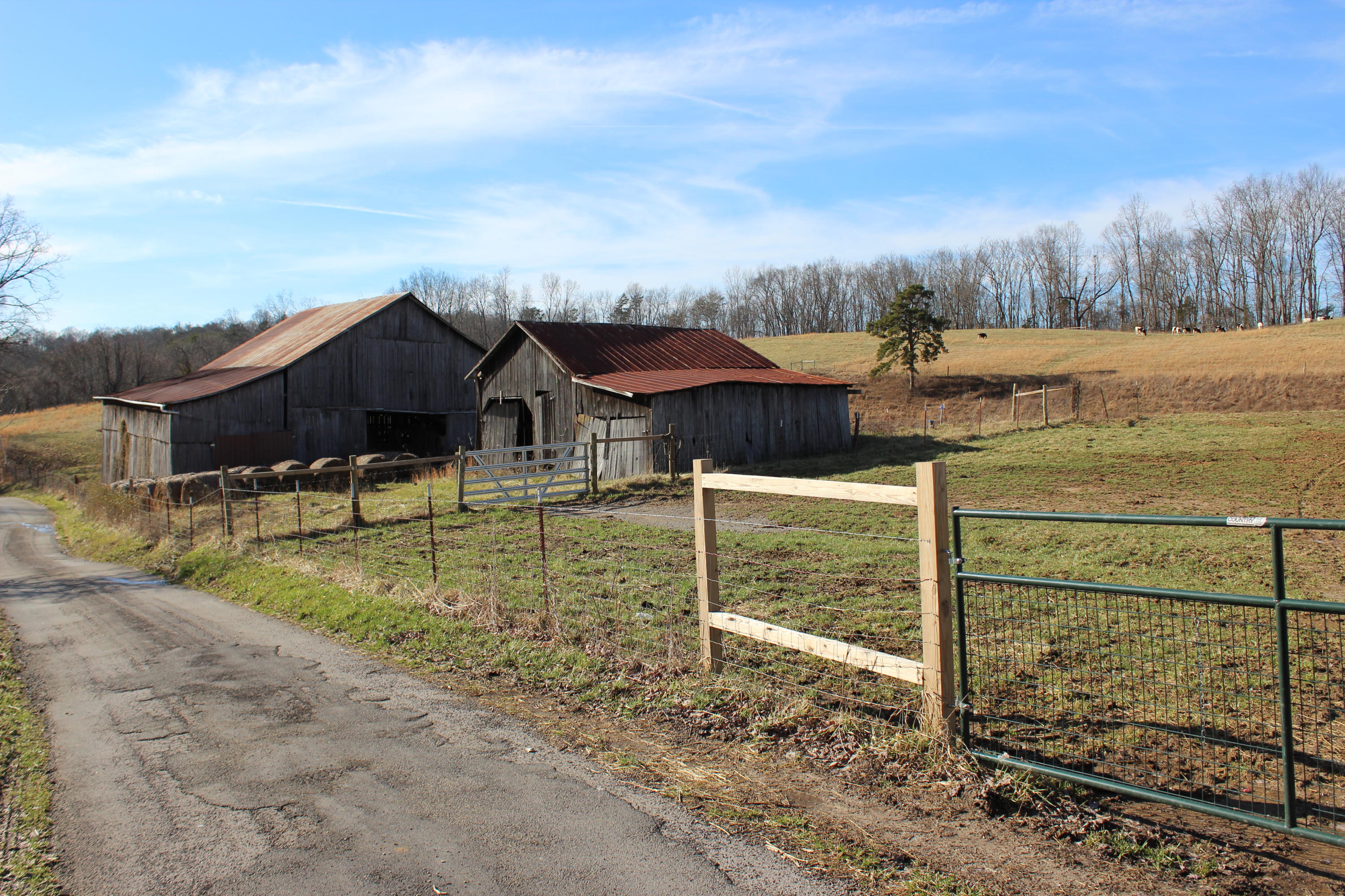 502 Collins Ridge Road Washburn, TN 37888 - Photo 8 of 24 IMG_2789