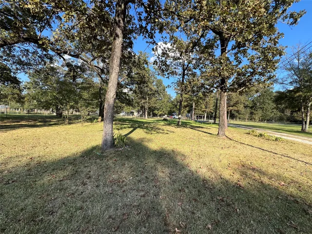 a view of yard with large trees