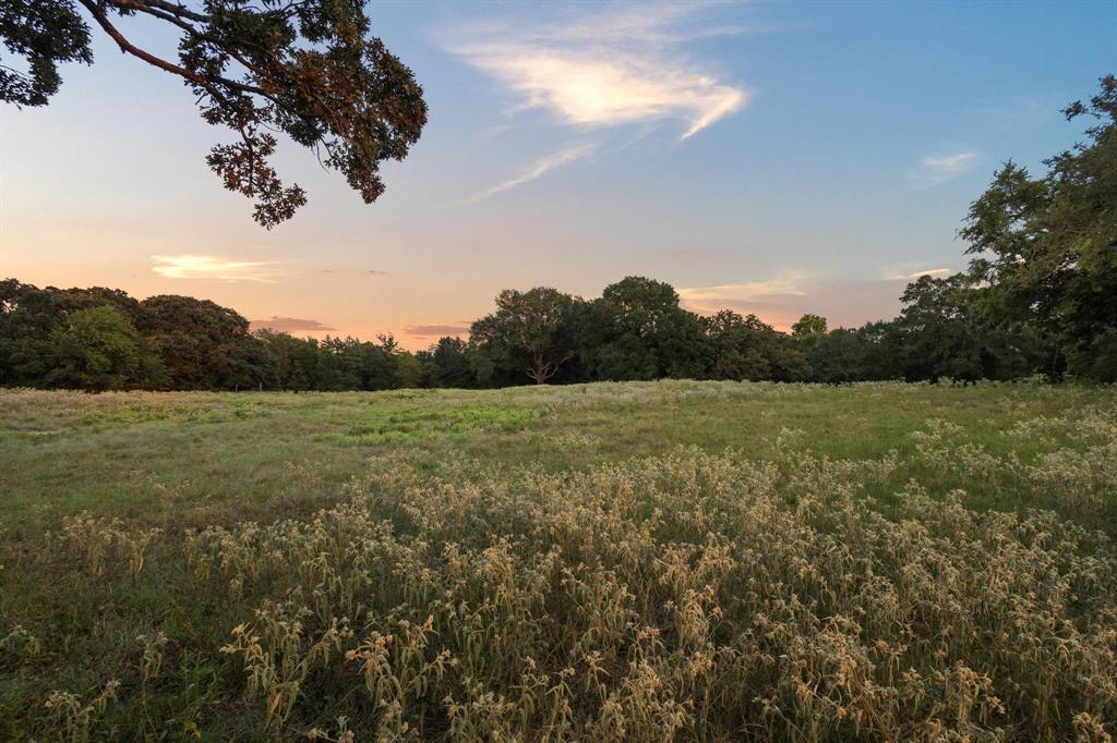 a view of a field with an ocean view