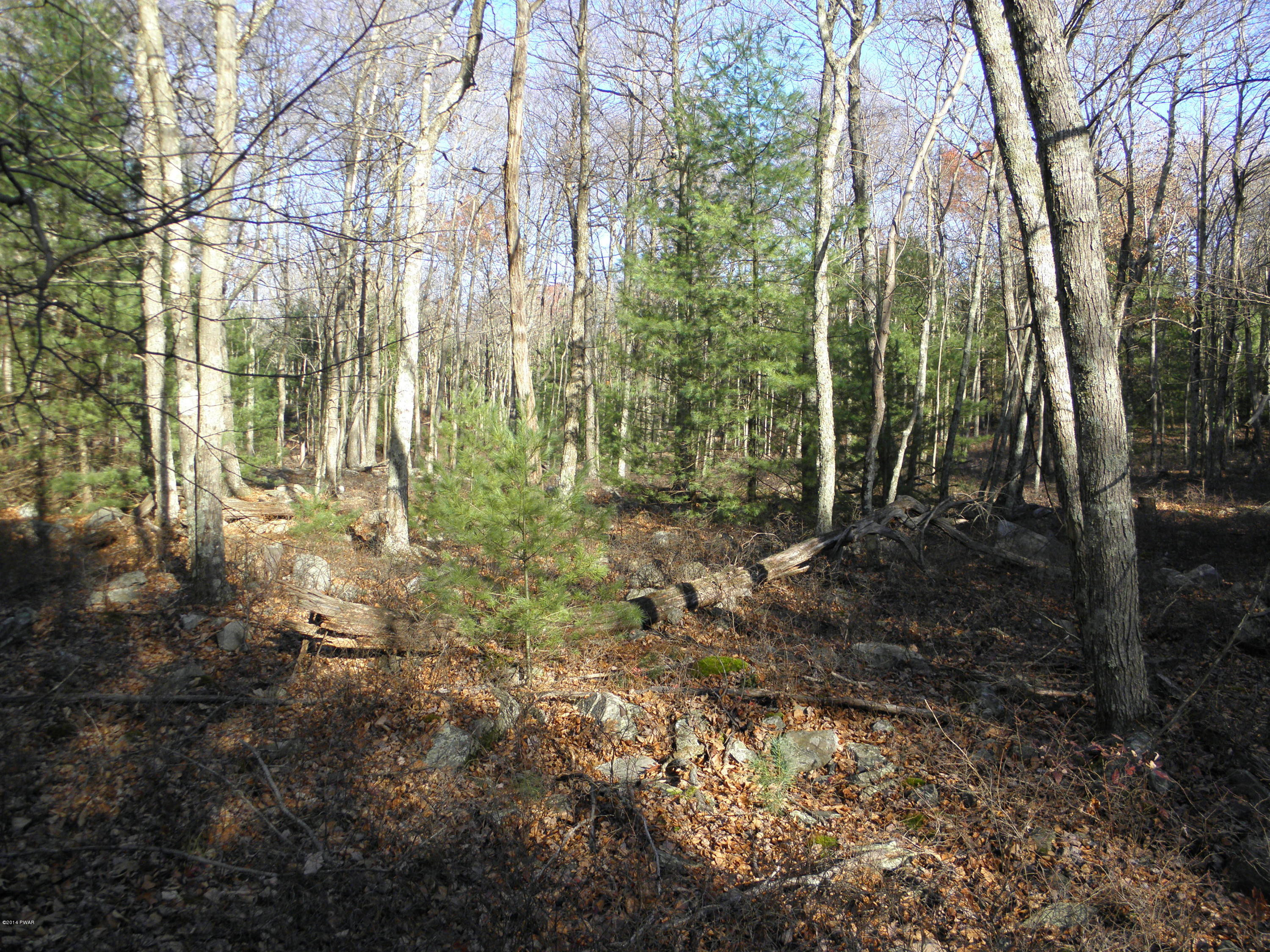 Cliff Road Hawley, PA 18428 - Photo 1 of 1