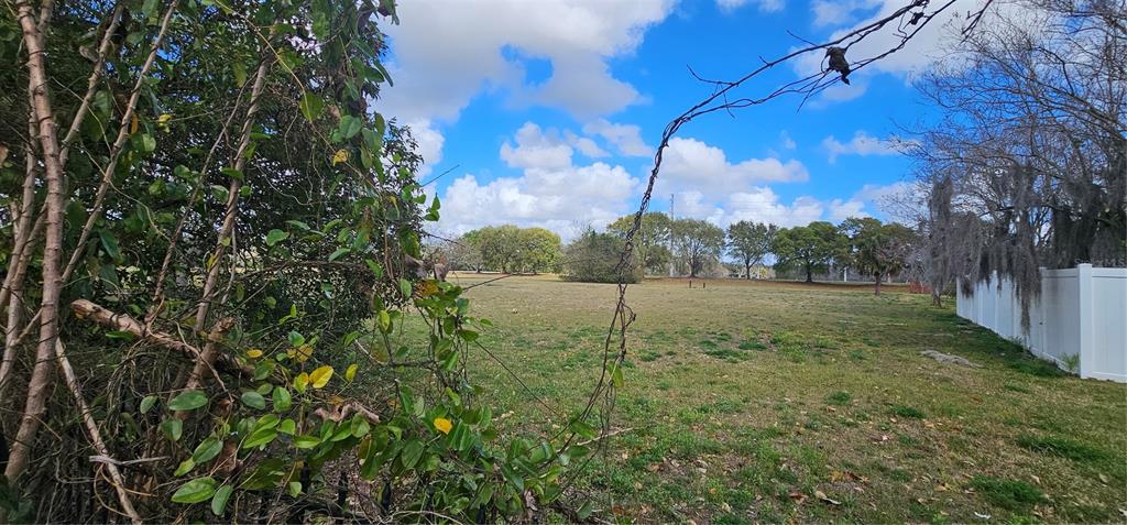 10927 Leader Lane Orlando, FL 32825 - Photo 26 of 29 a view of a yard