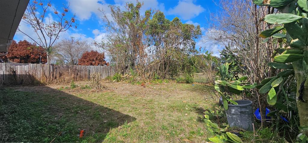 10927 Leader Lane Orlando, FL 32825 - Photo 27 of 29 a view of backyard with tree