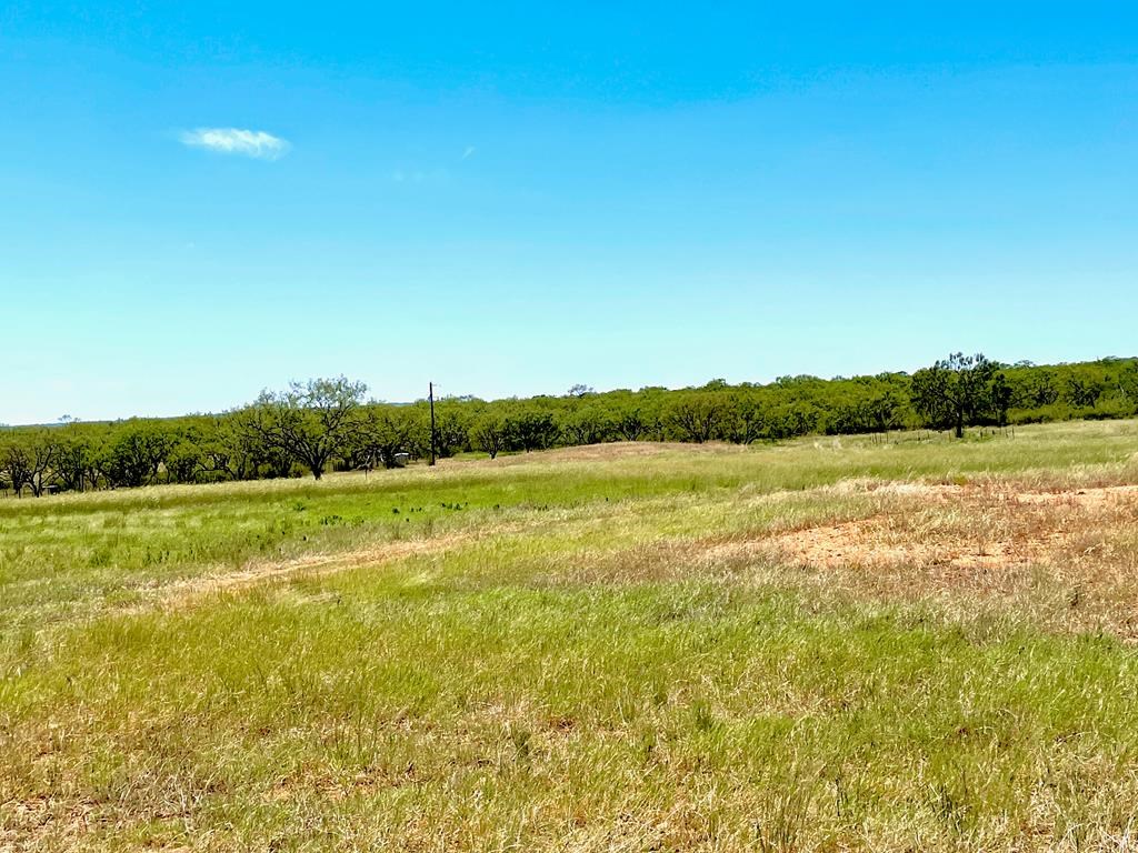 A-0938 Old Pontotoc Road Mason, TX 76856 - Photo 3 of 5