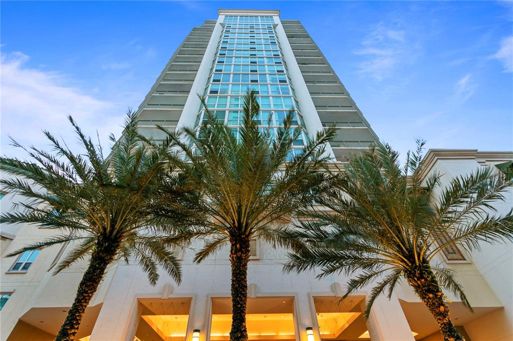 a view of a tall building with a palm tree