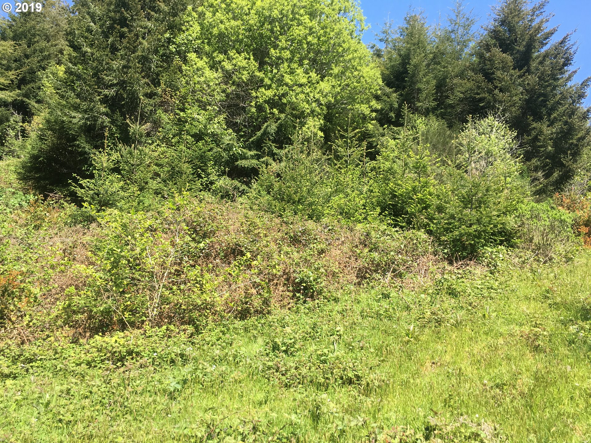 0 Rocky Road North Bend, OR 97459 - Photo 11 of 32 Gallery Image 11