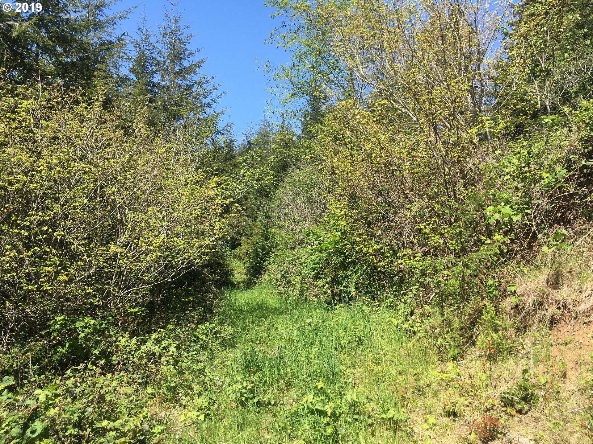 0 Rocky Road North Bend, OR 97459 - Photo 12 of 32 Gallery Image 12