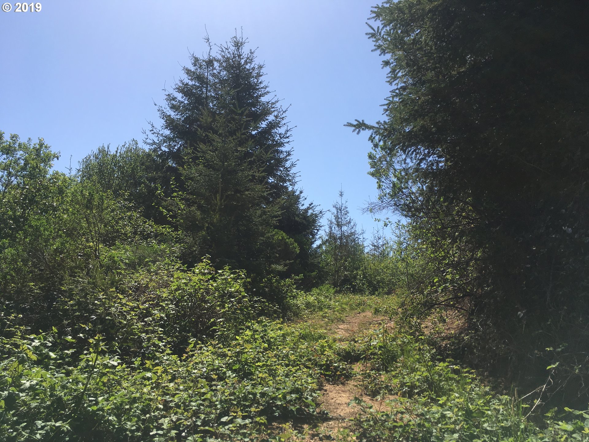 0 Rocky Road North Bend, OR 97459 - Photo 18 of 32 Gallery Image 18