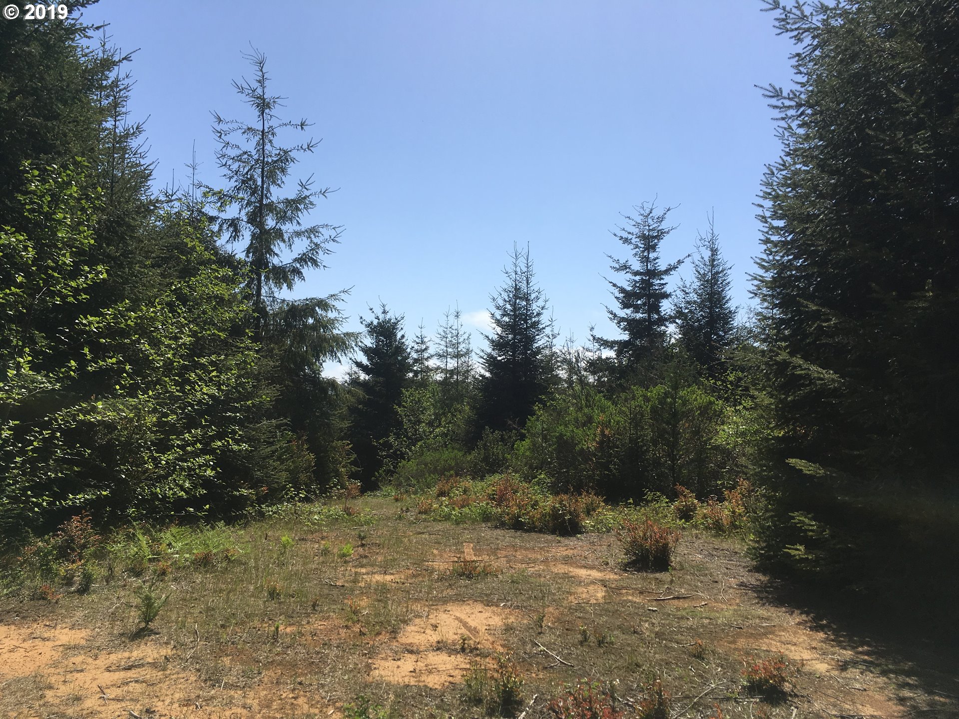 0 Rocky Road North Bend, OR 97459 - Photo 20 of 32 Gallery Image 20