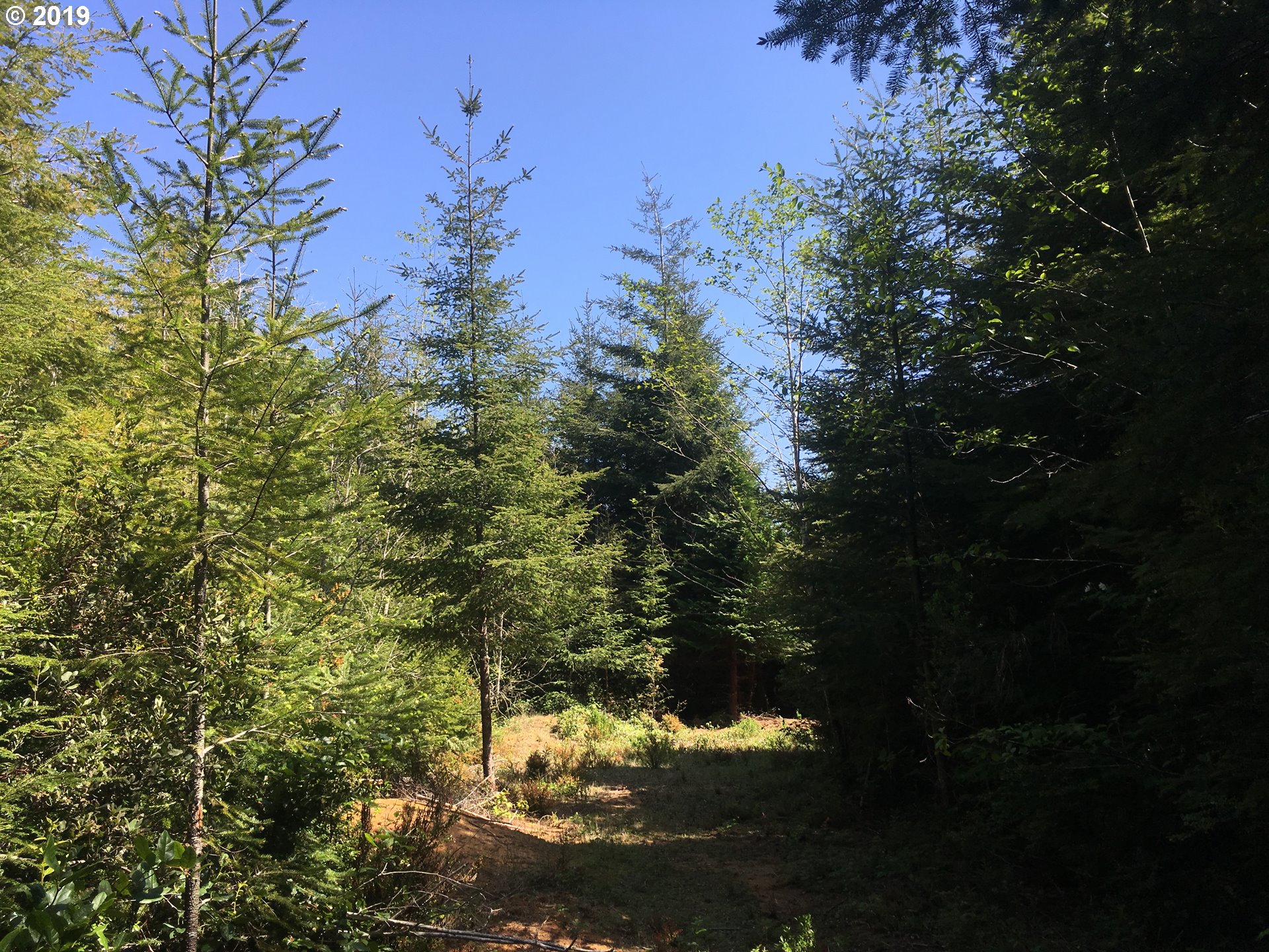 0 Rocky Road North Bend, OR 97459 - Photo 22 of 32 Gallery Image 22