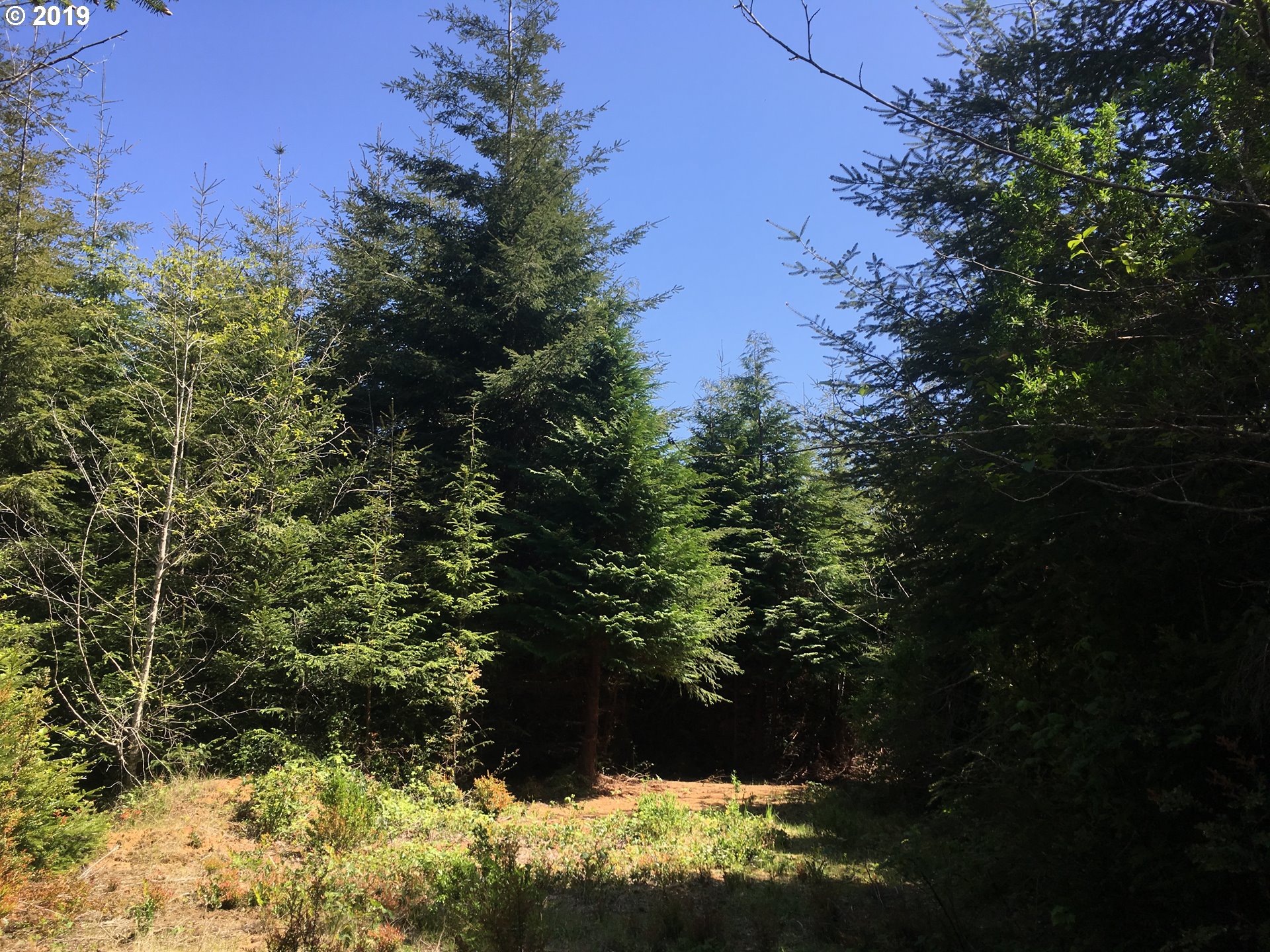 0 Rocky Road North Bend, OR 97459 - Photo 23 of 32 Gallery Image 23