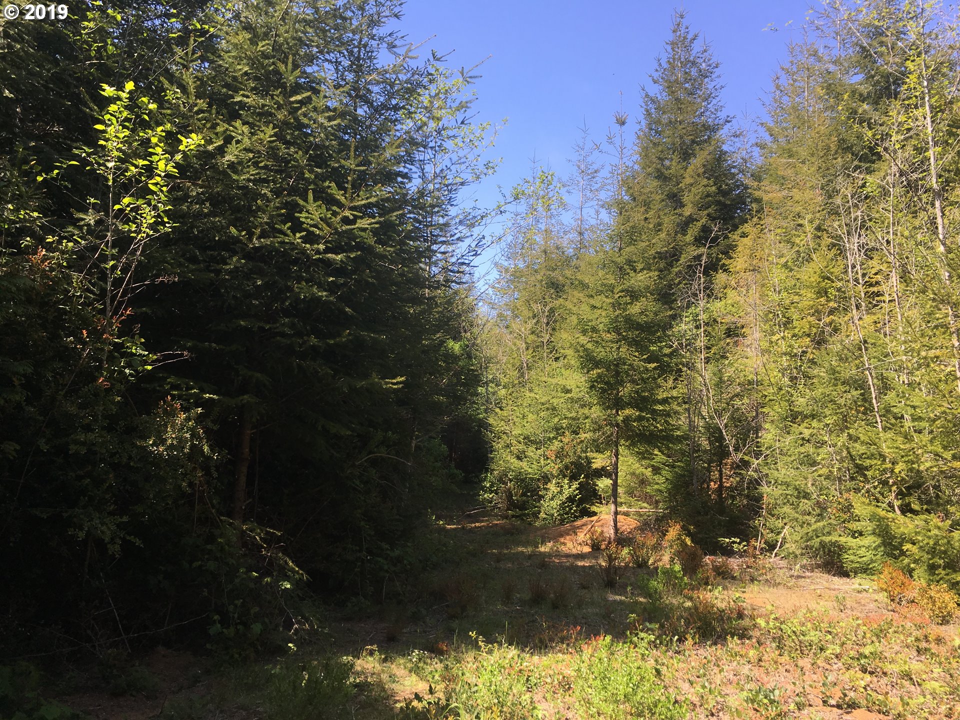 0 Rocky Road North Bend, OR 97459 - Photo 24 of 32 Gallery Image 24