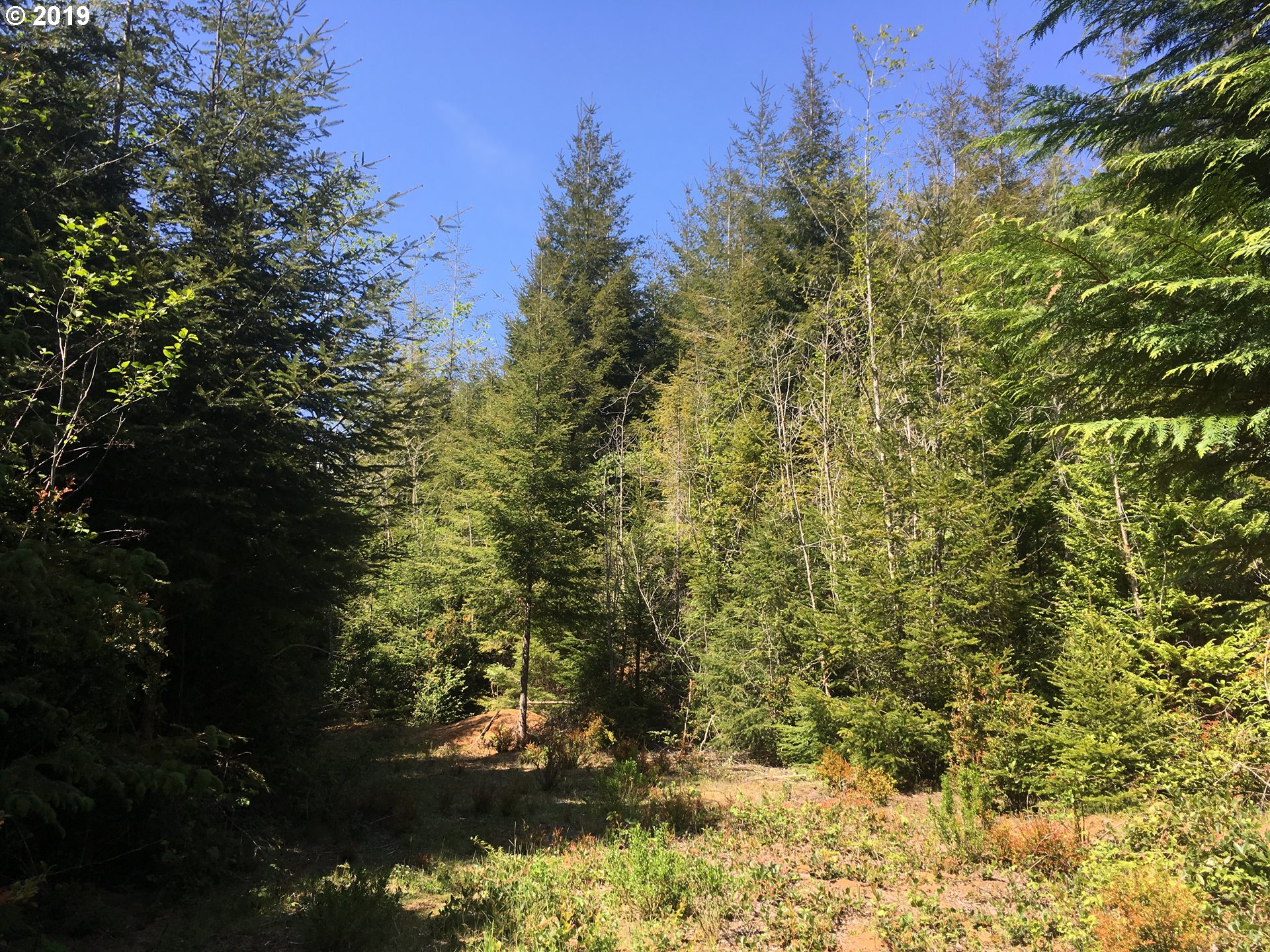 0 Rocky Road North Bend, OR 97459 - Photo 25 of 32 Gallery Image 25