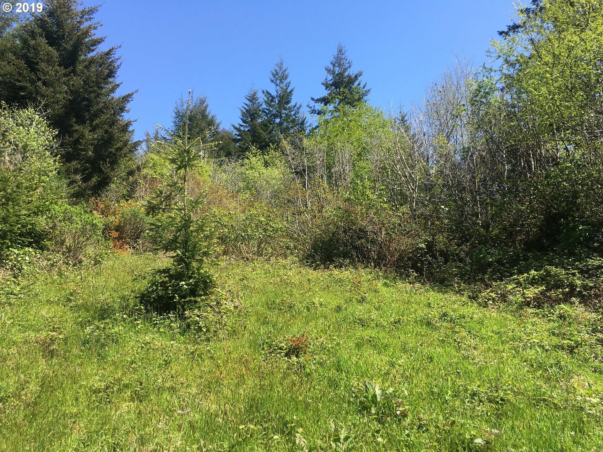 0 Rocky Road North Bend, OR 97459 - Photo 10 of 32 Gallery Image 10