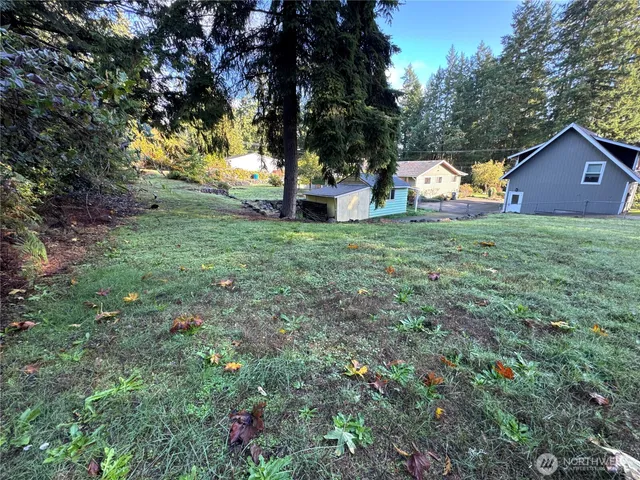 a backyard of a house with plants and large tree