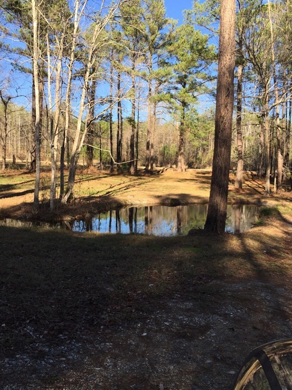 500 Huckabee Road Gray, GA 31032 - Photo 17 of 17 a view of yard with wooden floor