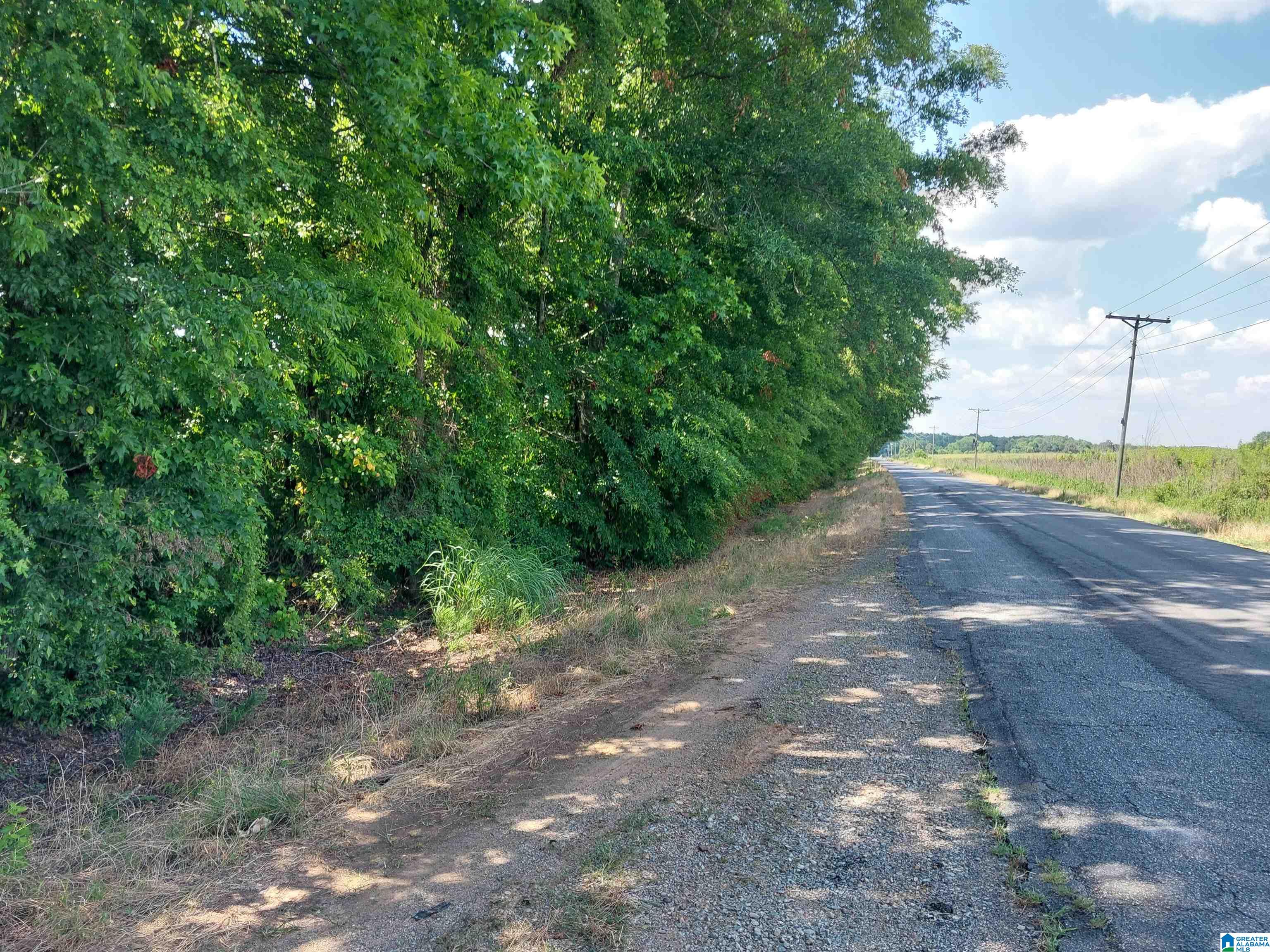 0 Airport Road Eastaboga, AL 36260 - Photo 2 of 3