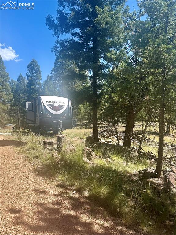 1176 Trail Creek Road Lake George, CO 80827 - Photo 24 of 34