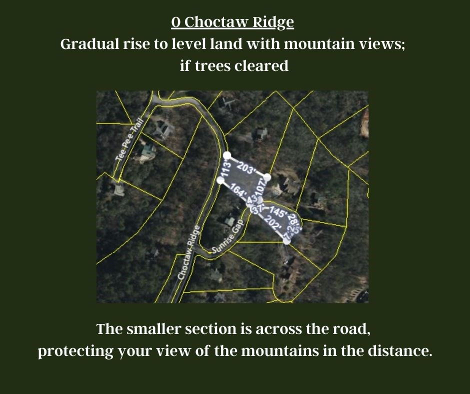 0 Choctaw Ridge Road Blue Ridge, GA 30513 - Photo 11 of 17 Gallery Image 11