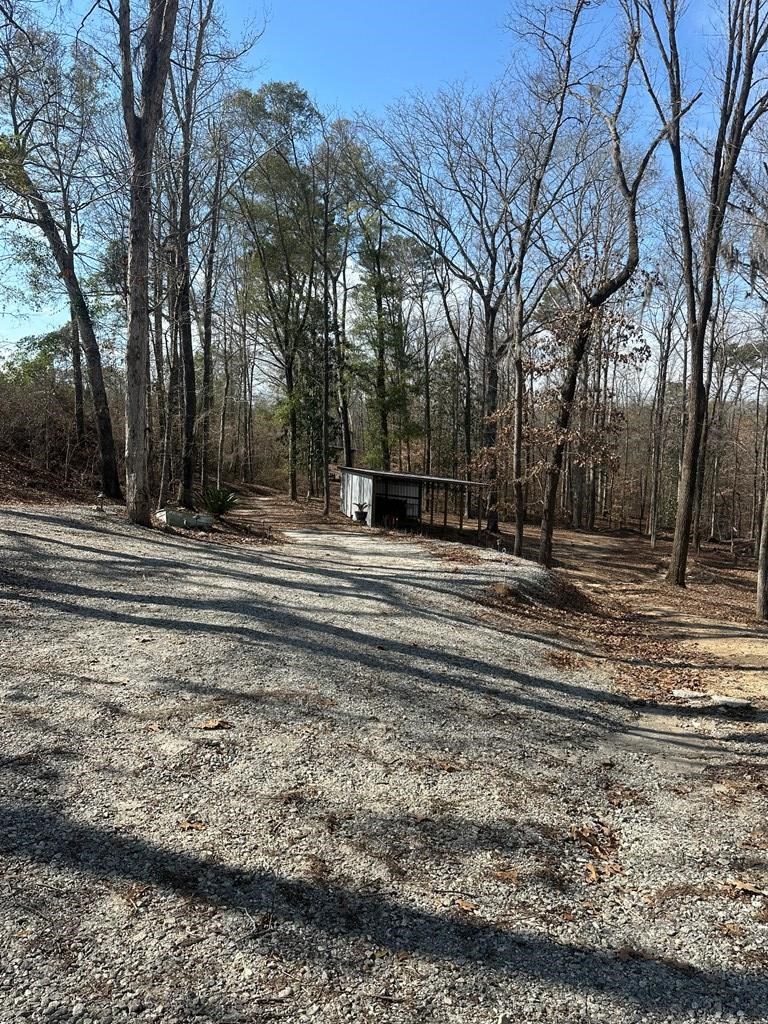 2422 County Road 97 Abbeville, AL 36310 - Photo 48 of 50