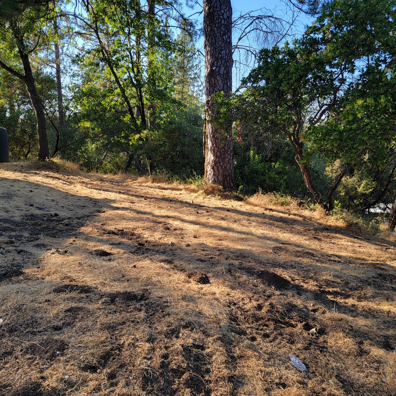 13021 Ridge View Drive Sutter Creek, CA 95685 - Photo 3 of 35 a view of a backyard of a house