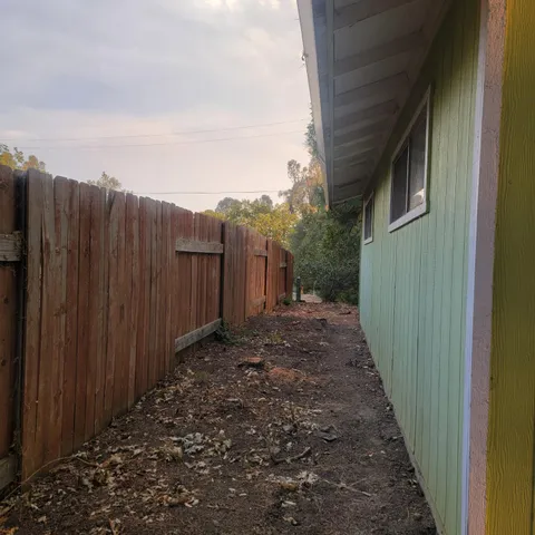 a view of a forest with lots of trees