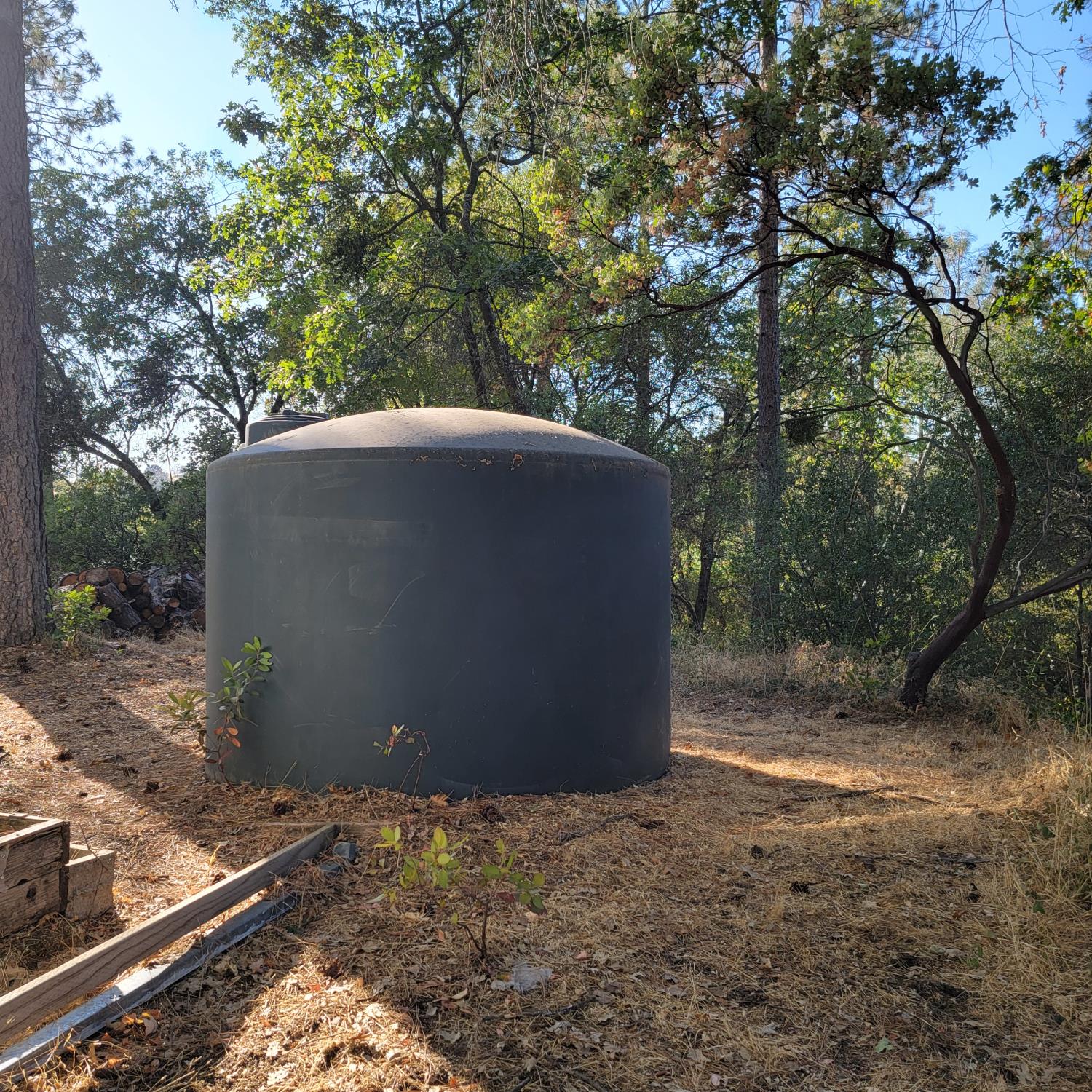 13021 Ridge View Drive Sutter Creek, CA 95685 - Photo 4 of 35 a backyard of a house with lots of green space