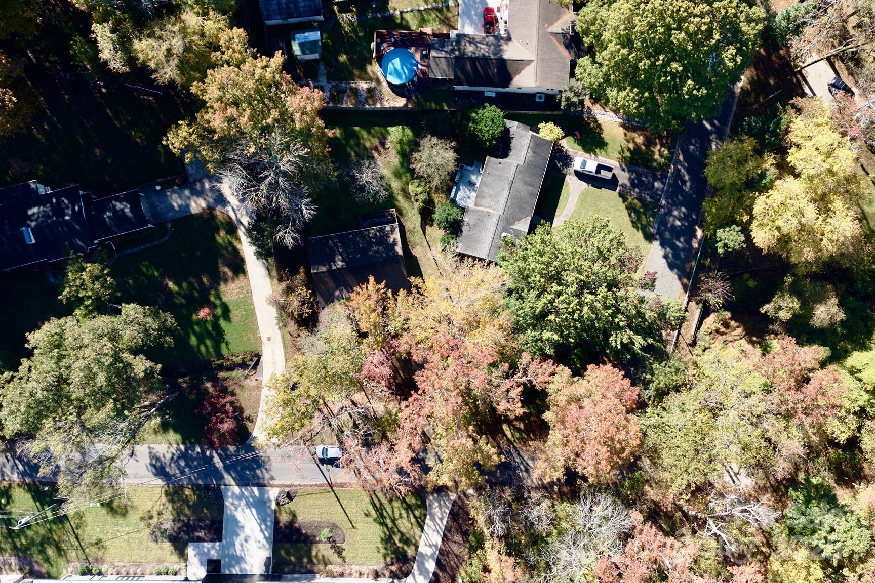 331 Meadowbrook Road Charlotte, NC 28211 - Photo 26 of 32 a plant that is in a garden