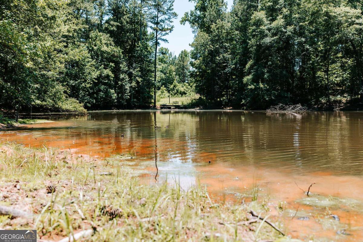 0 Mitchell Farm Road Colbert, GA 30628 - Photo 5 of 45