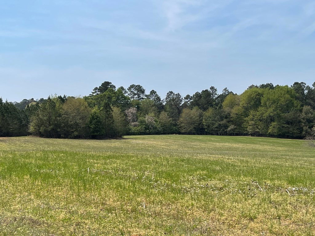 0 Banks Mill Road Southeast North Augusta, SC 29860 - Photo 8 of 11