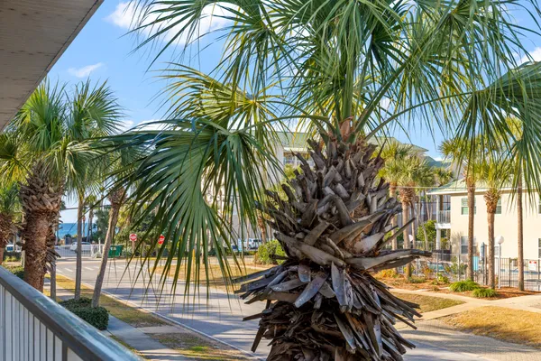 a view of a palm trees in a balcony