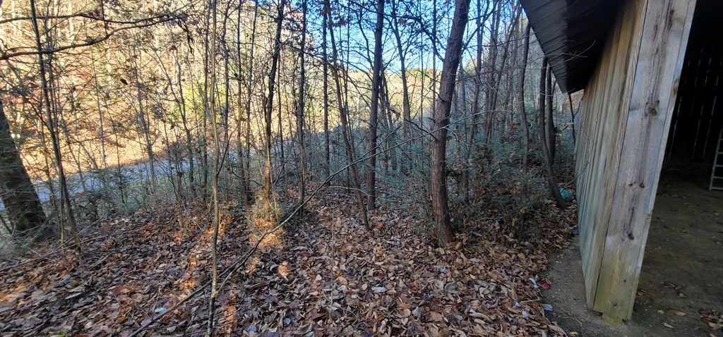 2 Wilhite Road Cosby, TN 37722 - Photo 17 of 24