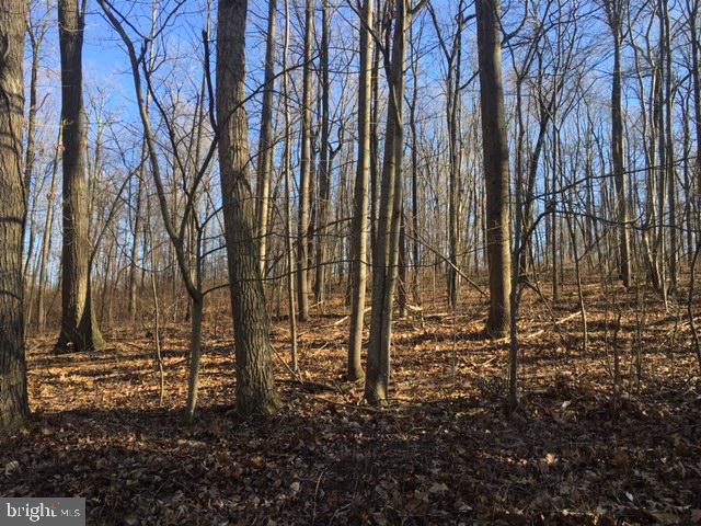 4590 Sportsman Club Road, Unit 2 Spring Grove, PA 17362 - Photo 1 of 8