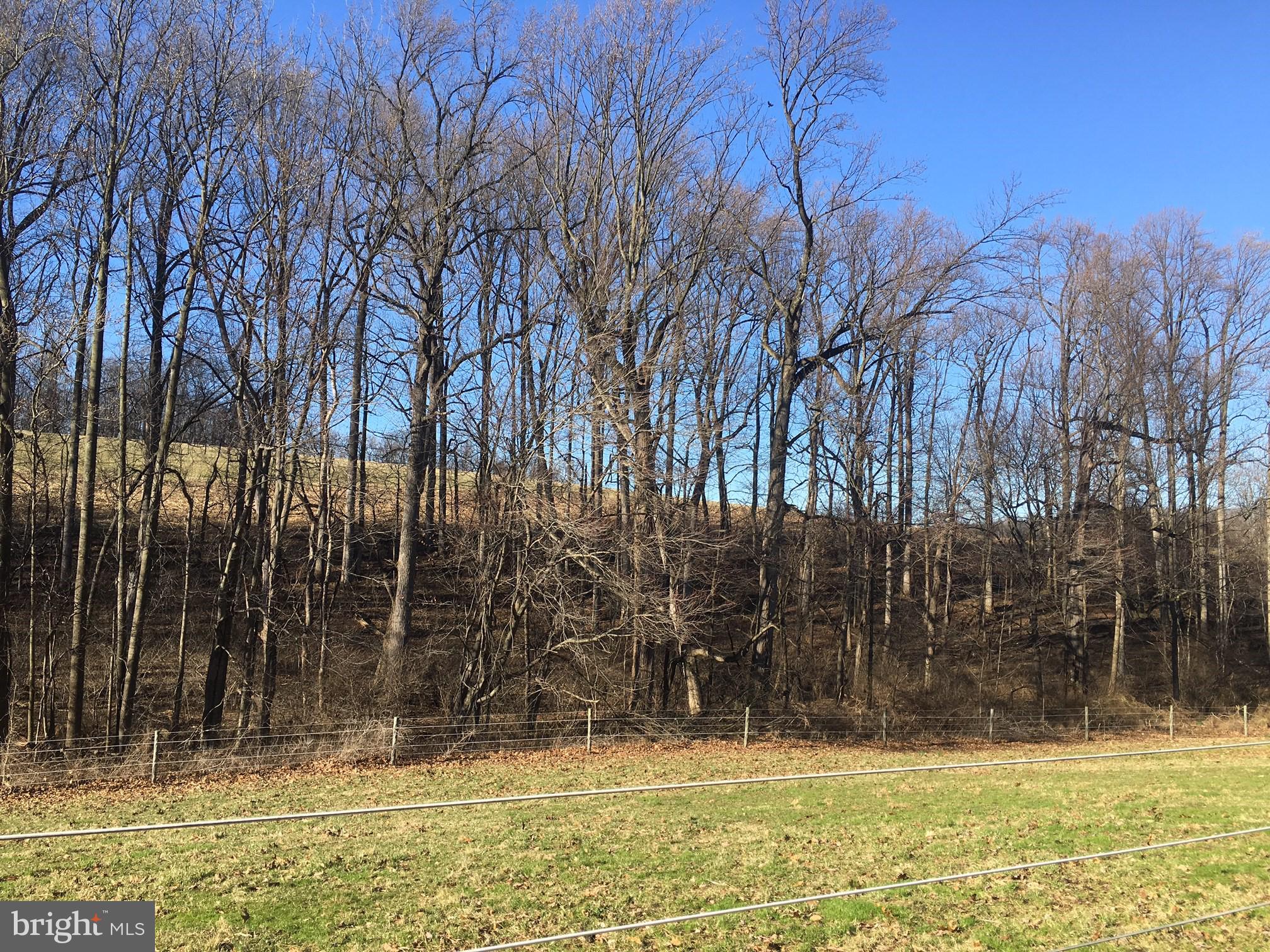 4590 Sportsman Club Road, Unit 2 Spring Grove, PA 17362 - Photo 3 of 8