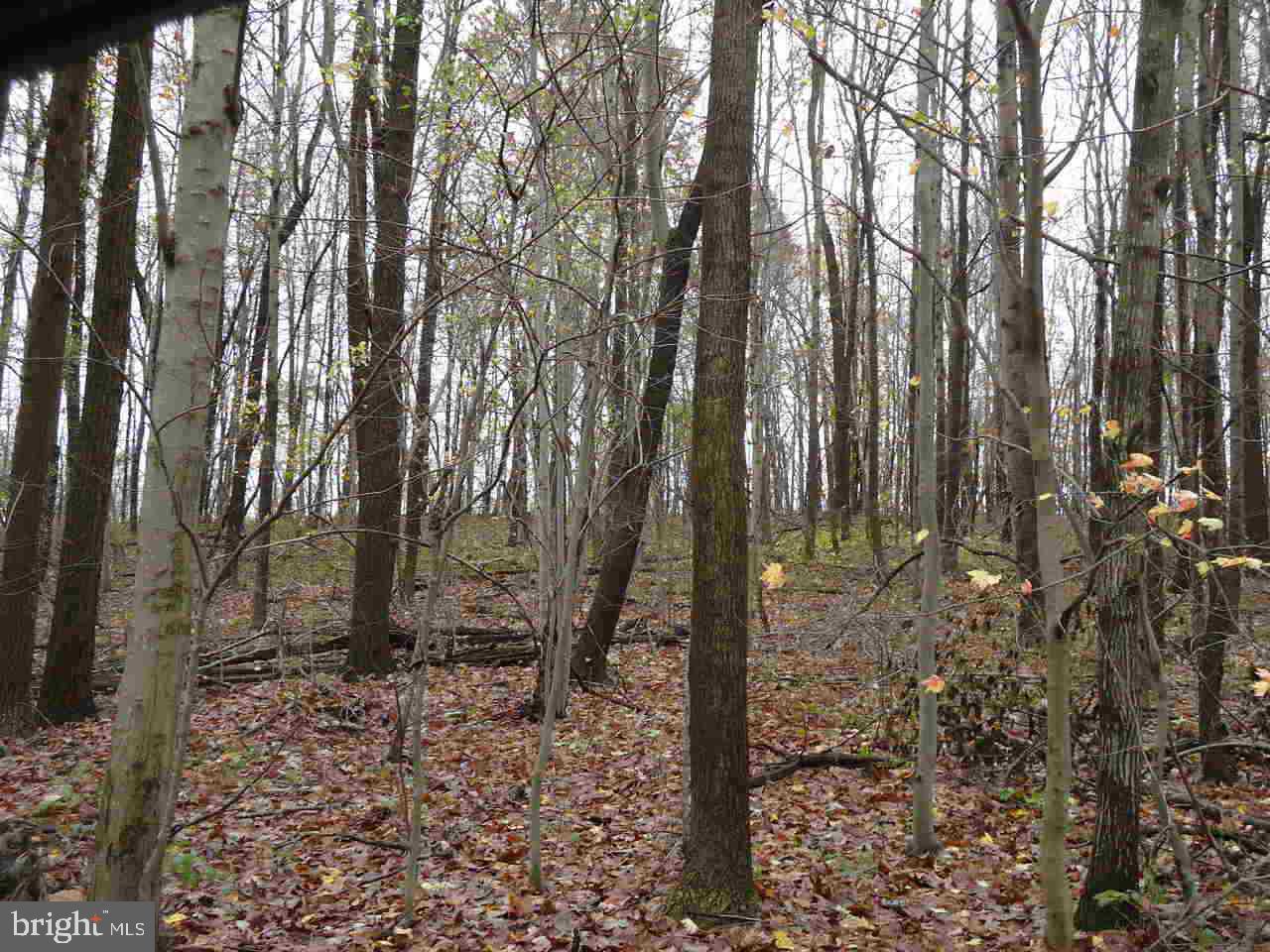4590 Sportsman Club Road, Unit 2 Spring Grove, PA 17362 - Photo 6 of 8