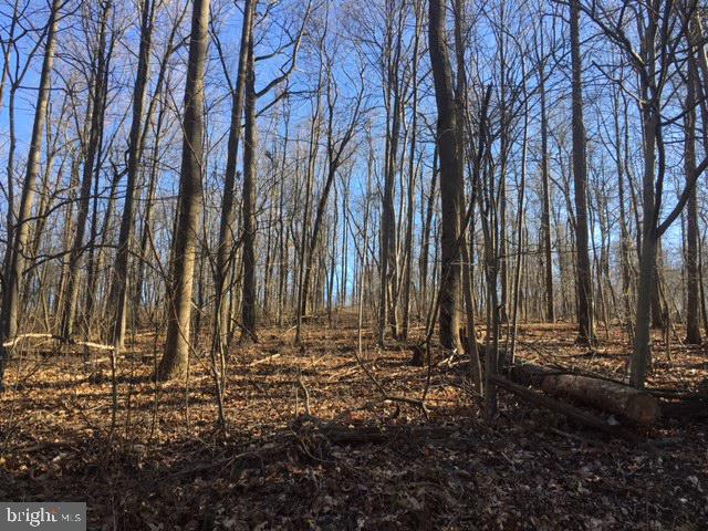 4590 Sportsman Club Road, Unit 2 Spring Grove, PA 17362 - Photo 7 of 8