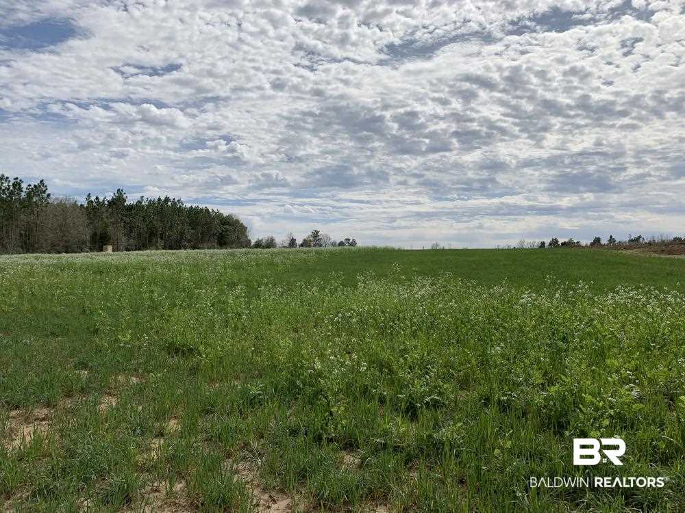17525 Joe Gottler Road Elberta, AL 36530 - Photo 10 of 44