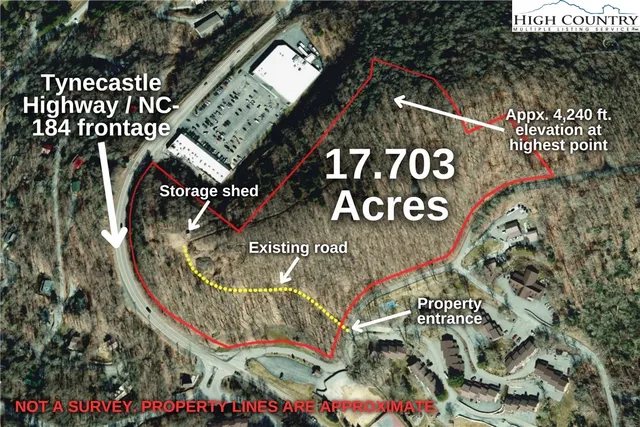 a green field with lots of trees