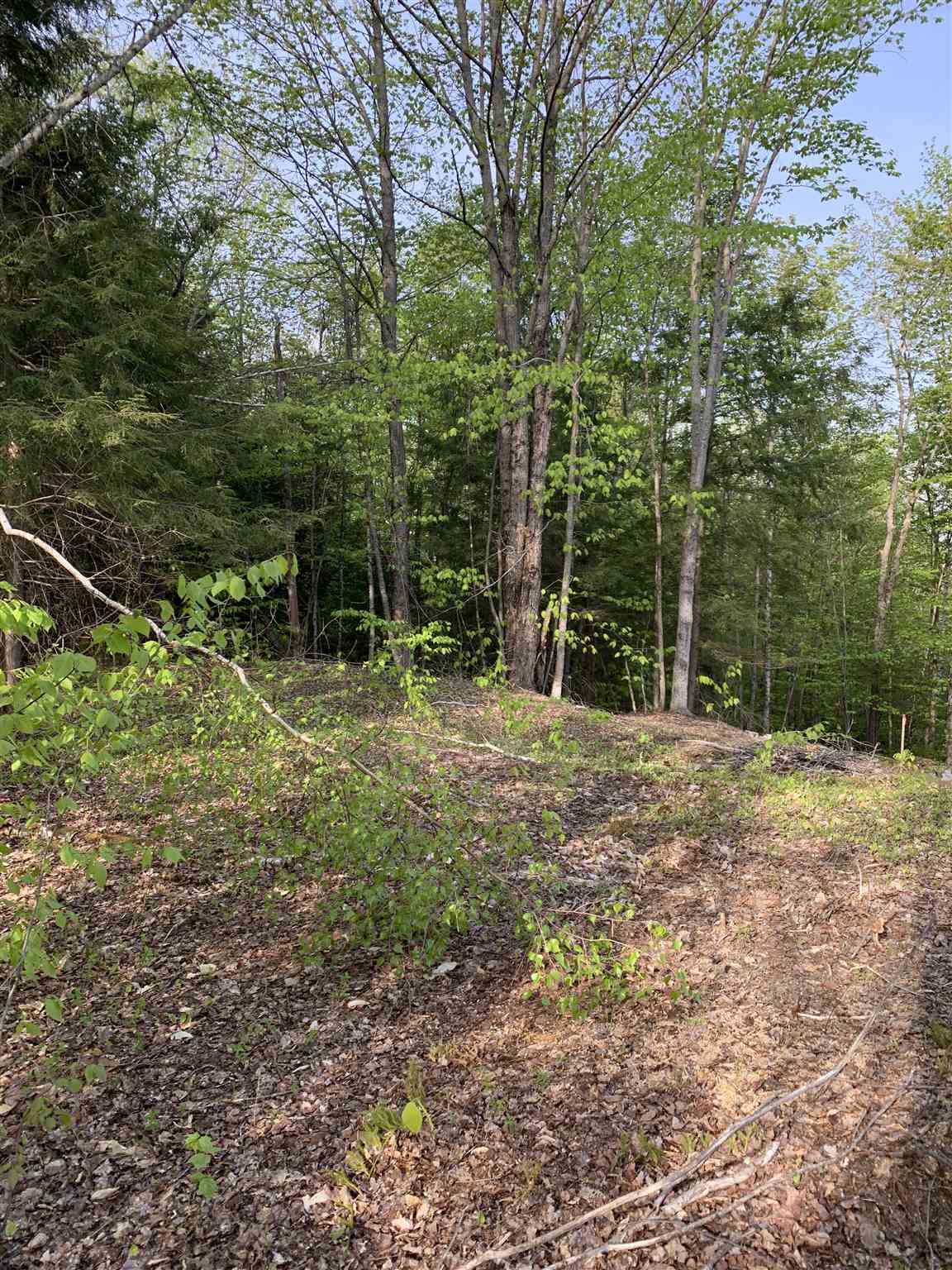 80 Taylor Road Duxbury, VT 05676 - Photo 2 of 9