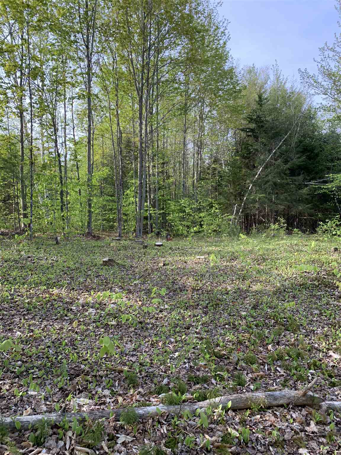 80 Taylor Road Duxbury, VT 05676 - Photo 4 of 9