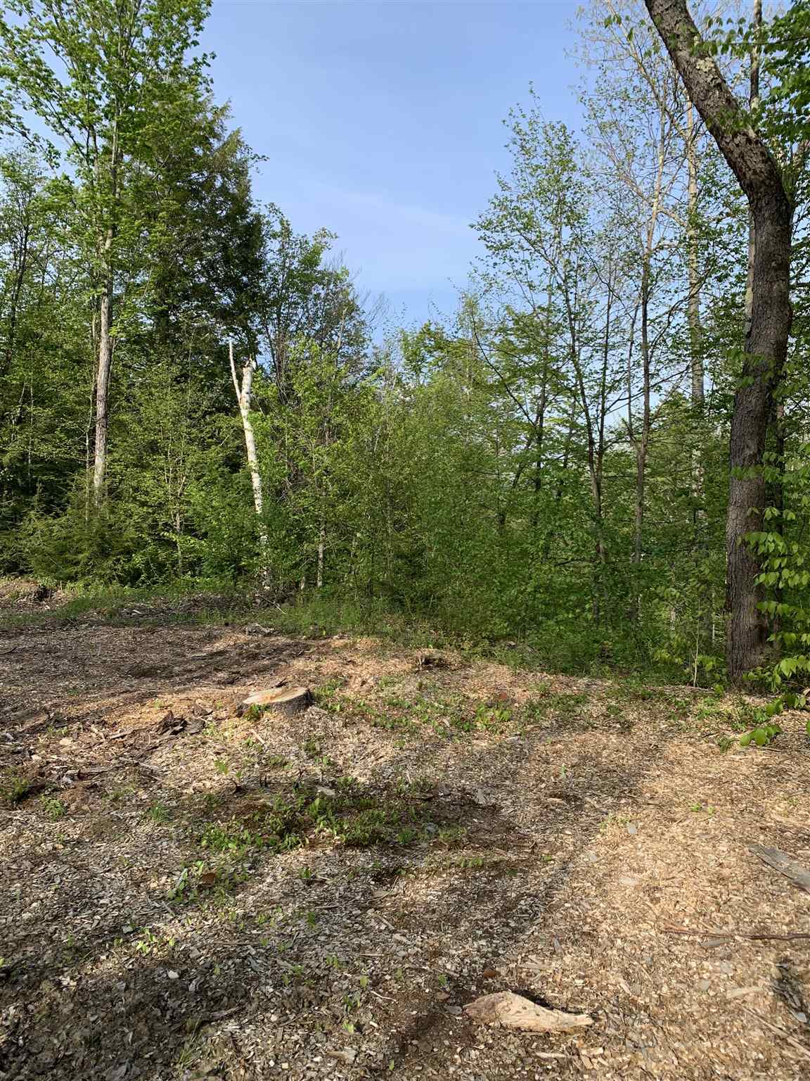 80 Taylor Road Duxbury, VT 05676 - Photo 5 of 9