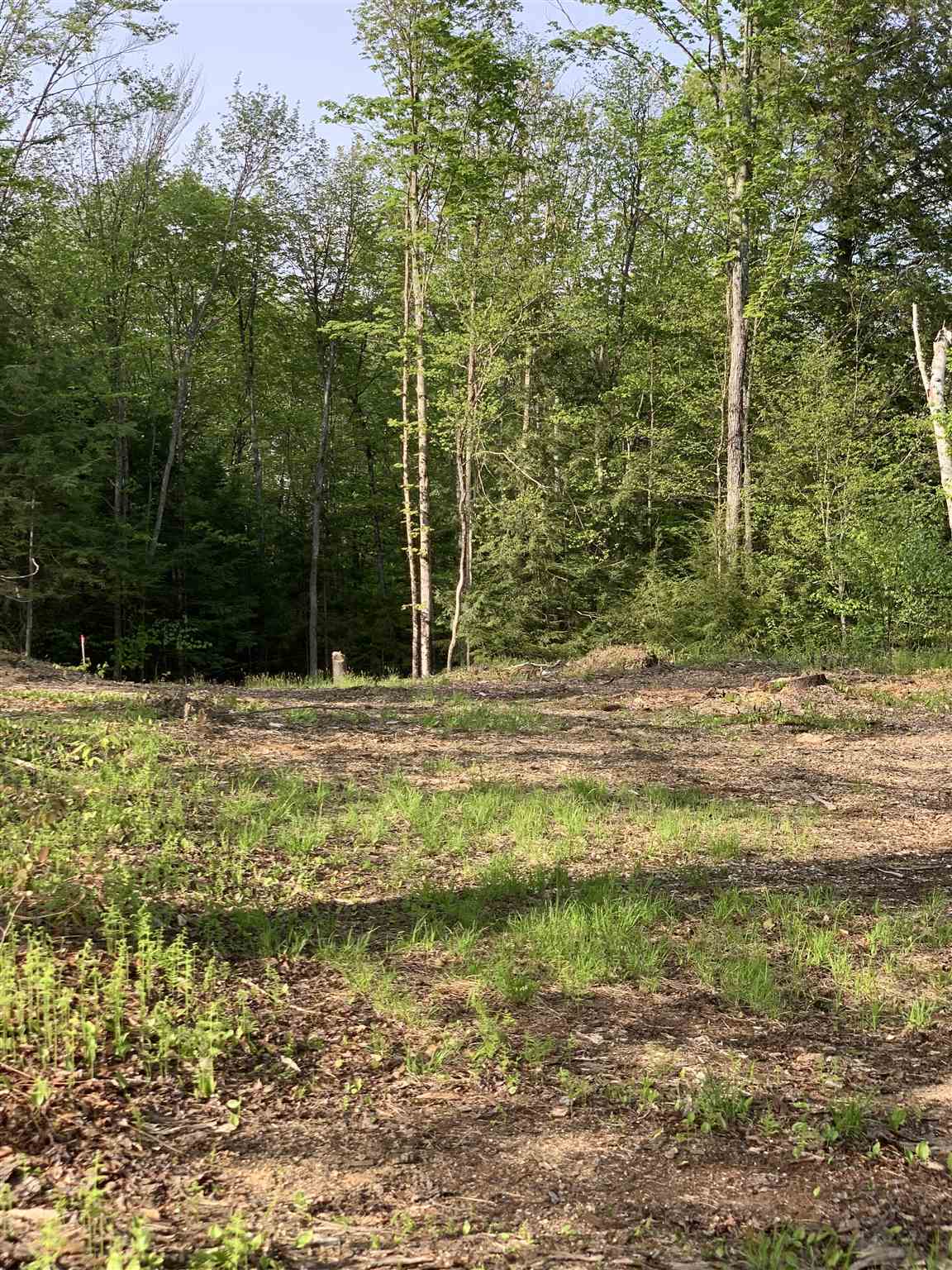80 Taylor Road Duxbury, VT 05676 - Photo 9 of 9