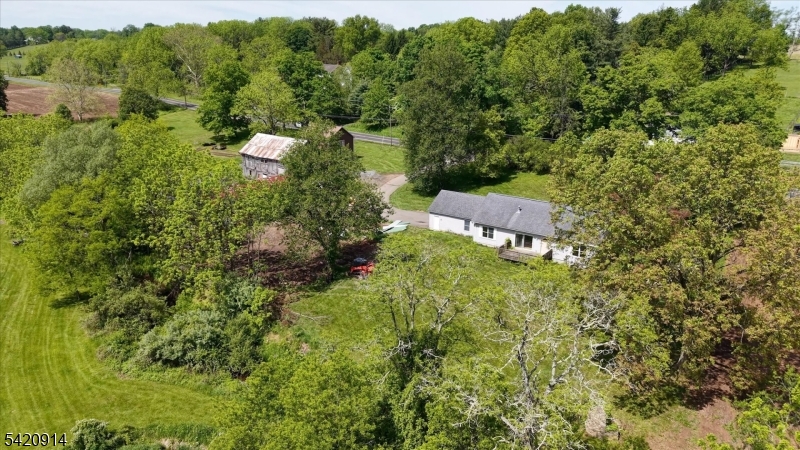 441 Pittstown Road Pittstown, NJ 08867 - Photo 37 of 48