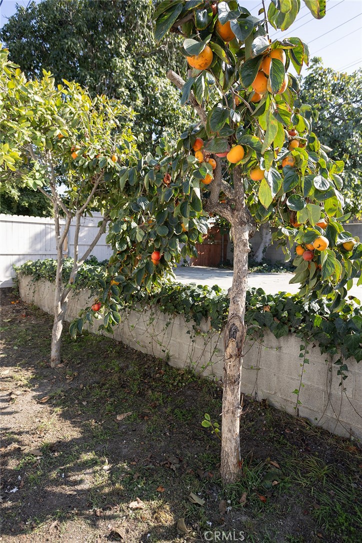 1118 East Joel Street Carson, CA 90745 - Photo 35 of 35 a view of a tree with yard