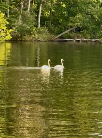 $274,500 | East River Road, Buchanan, MI 49107