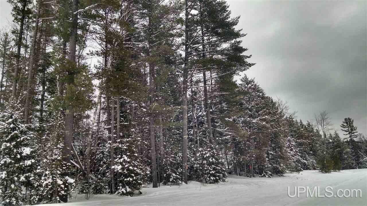 74 A Co Road Wetmore, MI 49895 - Photo 1 of 5