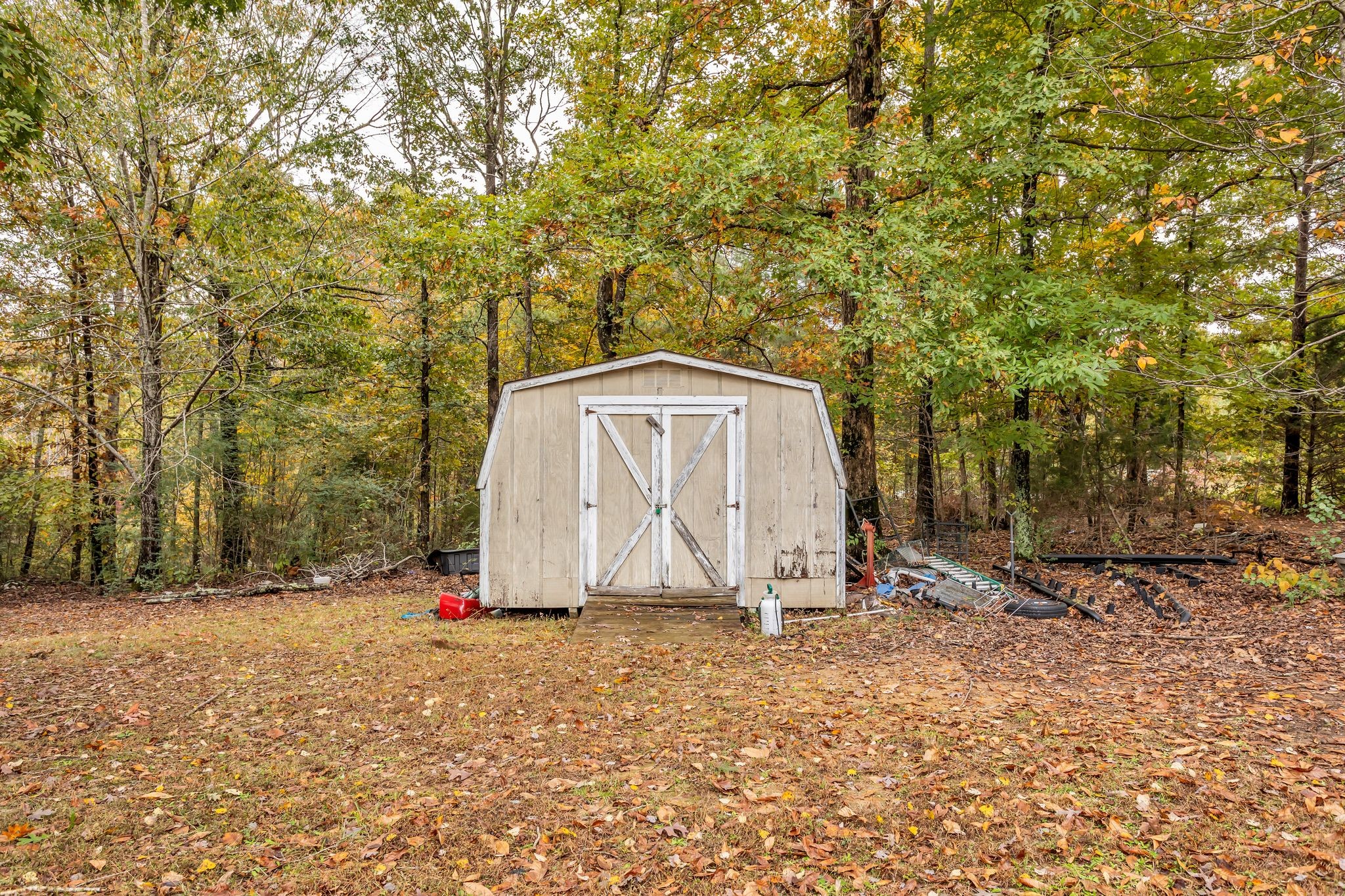 175 Reeves Road Hohenwald, TN 38462 - Photo 27 of 27 a view of backyard with large trees
